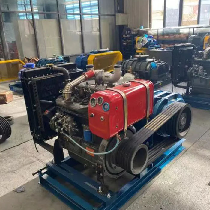 Diesel Low Pressure Roots Type of Blower