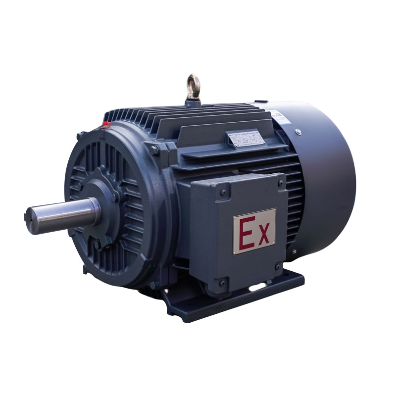 Explosion Proof Electrical Motor for Coal Mine