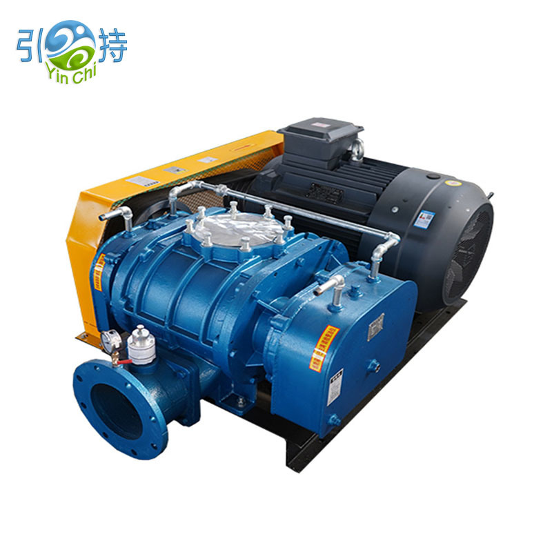 Negative Pressure Roots Vacuum Pump Blower